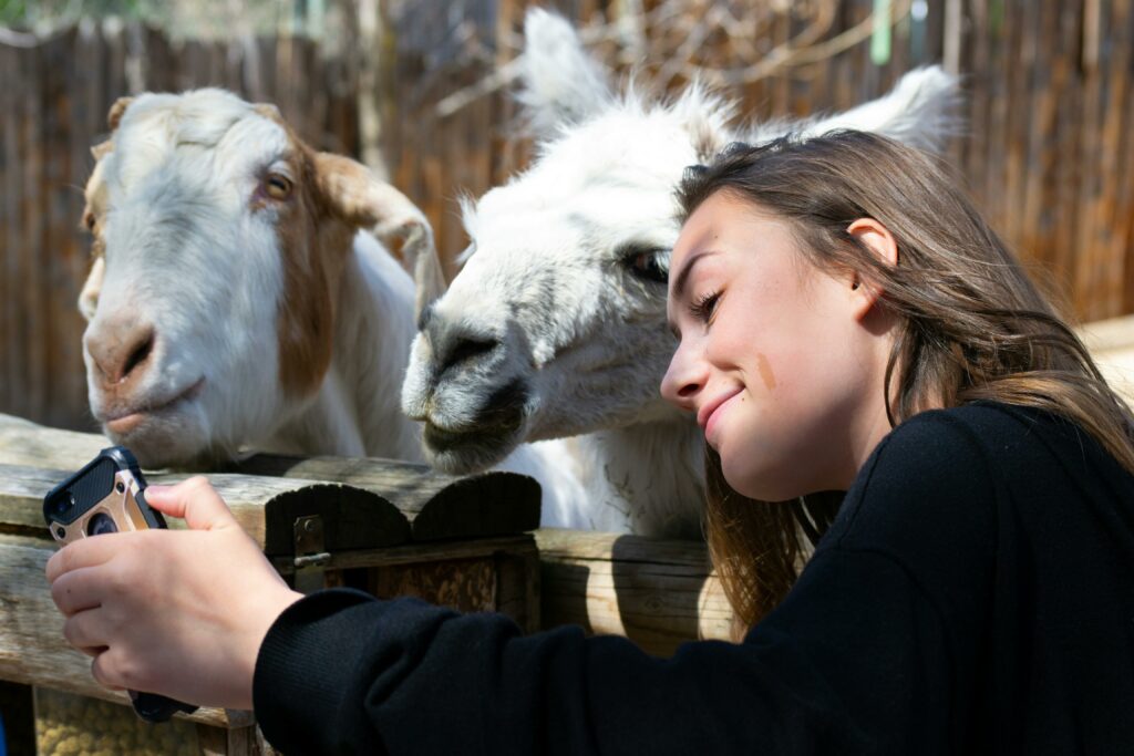 pexels-photo-1040396-1040396 A young woman takes a selfie with a goat and llama outdoors on a sunny day.